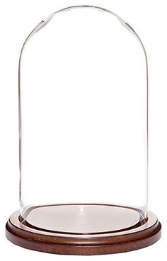 Glass Dome4