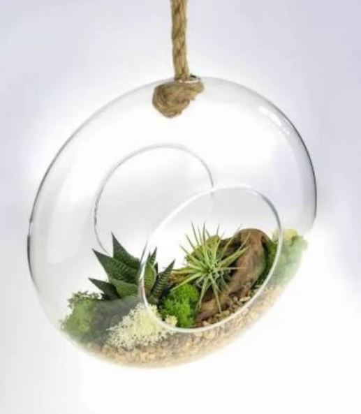 Glass Hanging Ball5