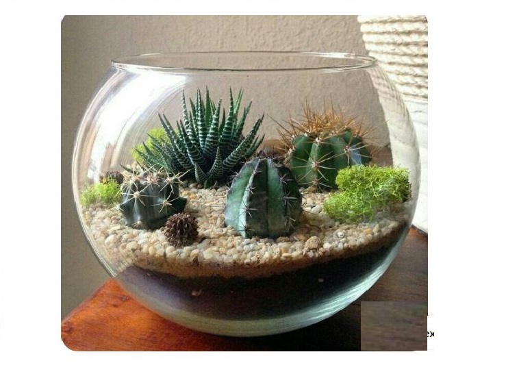 Glass Tableware Pot1