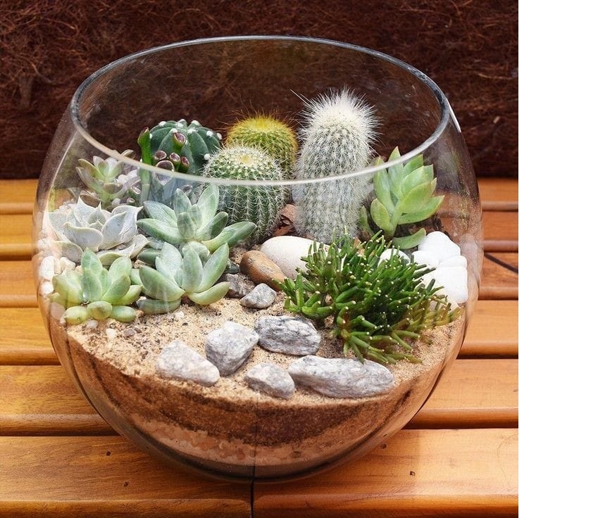 Glass Tableware Pot3