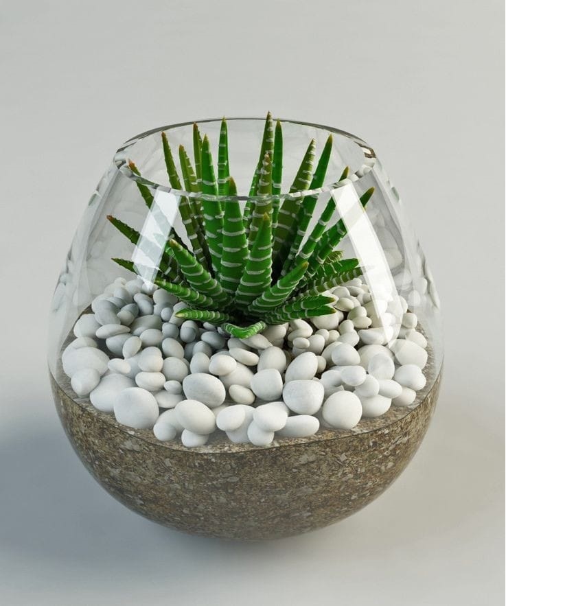 Glass Tableware Pot4