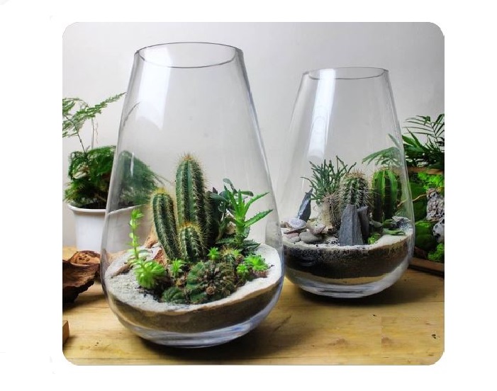 Glass Tableware Pot5