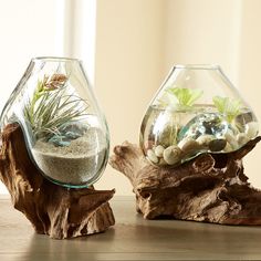 Glass Vase with wood5